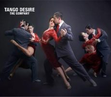 Contratar A Compañia Tango Desire Onnix Shows (5)